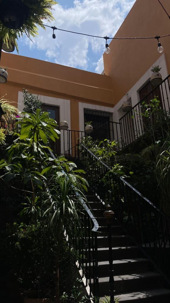 Patio exterior de Cosme Tortas